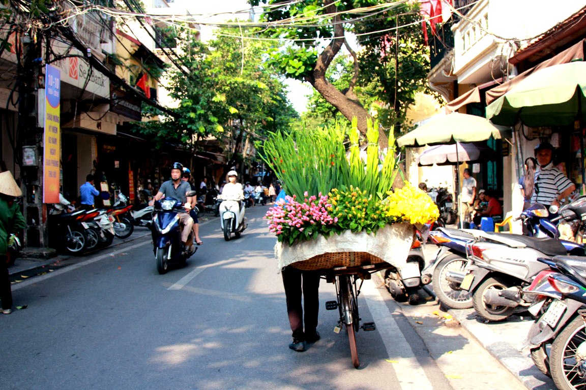 Hanoi Street Food Walking